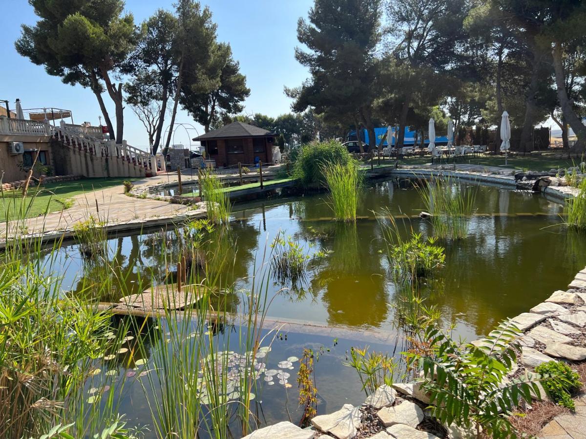 Hotel El Cisne ซาราโกซา ภายนอก รูปภาพ