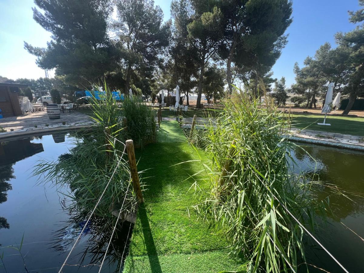 Hotel El Cisne ซาราโกซา ภายนอก รูปภาพ